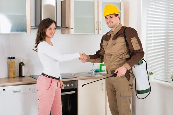 general pest control in uae by Absolute Pest Control
				