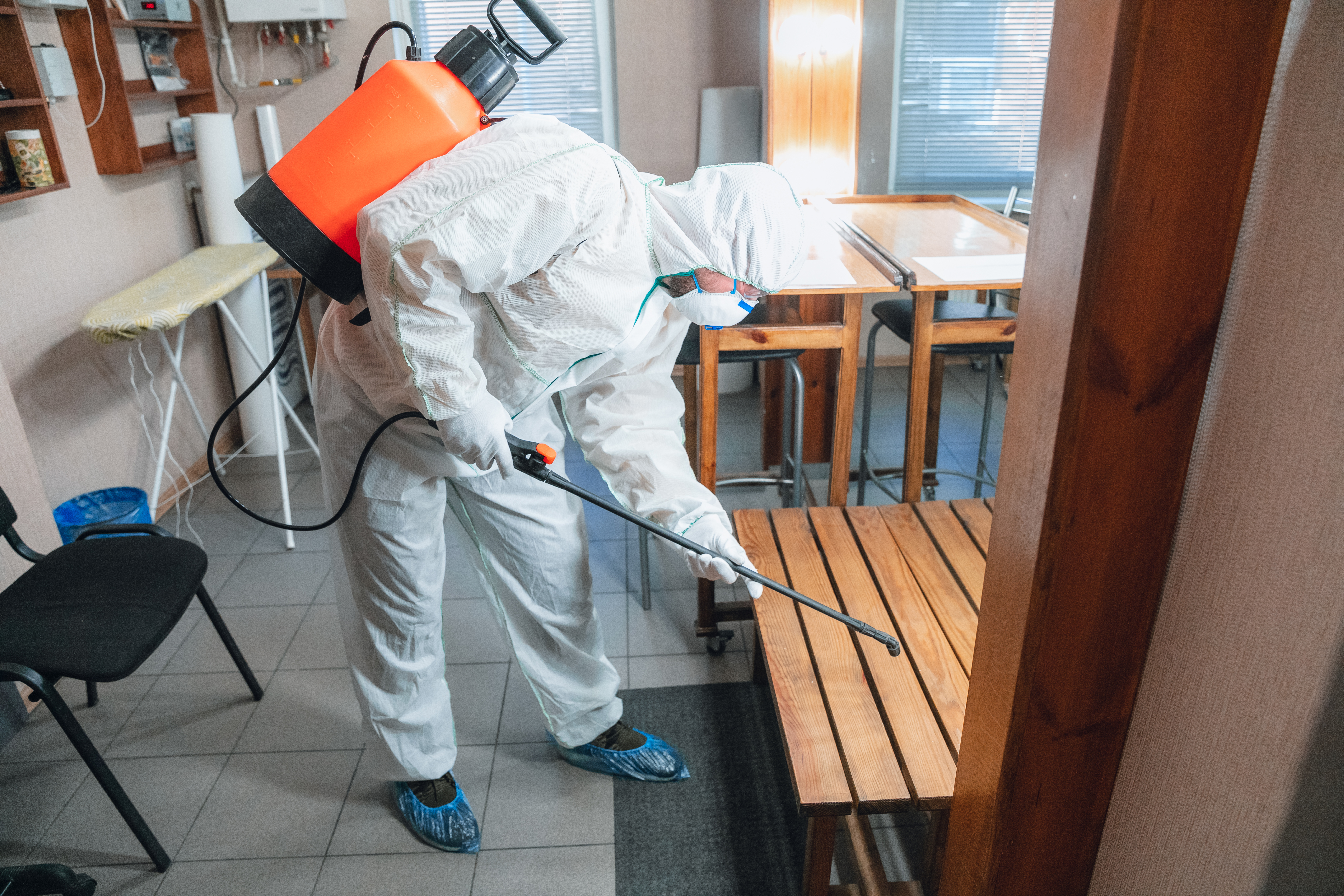 fumigation pest control in dubai, UAE by Absolute Pest Control
										