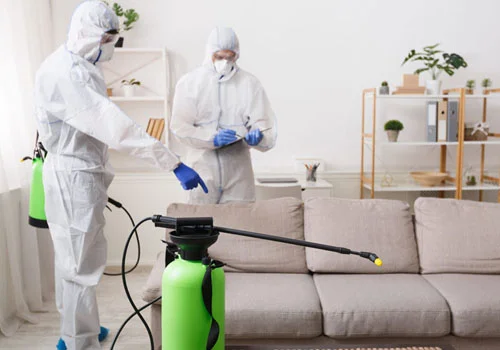 sanitization services dubai by Absolute Pest Control
									