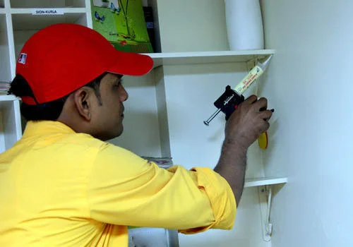 general pest control in dubai by Absolute Pest Control
										